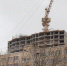 Фото: Олег Золото / МР7 - Мой район