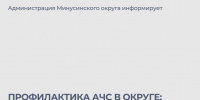 Профилактика АЧС в Минусинском округе: что важно знать владельцам свиней. - Администрация