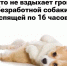 Смешные мемы и картинки | Источник: Городские медиа - 76.Ru