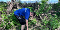 В рамках партийного проекта «Чистый лес» председатель общественного совета проекта Данила Сорокопудов совместно с активистами «Молодой Гвардии» провёл субботник. - VidnoeInform.Ru