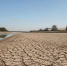 В Румынии посчитали, сколько протянет единственная АЭС из-за обмеления Дуная - Про Город Пермь