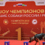 Региональная кинологическая выставка «Лучшие собаки России» с участием подопечных Росгвардии СЗФО прошла в Петербурге - Spbdnevnik.ru