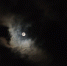 Фото: ПАИ - InformPskov.Ru