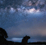 Фото: CHRISTIANTO/Shutterstock/Fotodom - Ямал-Медиа