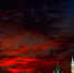 Фото: Timofeev Vladimir/Shutterstock/Fotodom - Ямал-Медиа