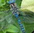 Аномальная жара до +33 градусов задержалась 2 августа только в Нижневартовском районе Югры - Комсомольская Правда