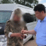 image - GazetaRB.Ru