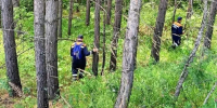 Красраб. Сибирский новостной портал - Газета Красноярский рабочий