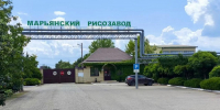 Кубанский производитель рисовой крупы приступил к перенастройке процессов - Газета Новороссийский рабочий