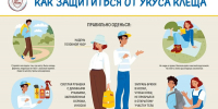 В Башкирии каждый третий укушенный клещём — ребёнок - Сетевое издание Республика Башкортостан