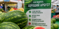 Жителям округа рассказали, как выбрать спелый и безопасный арбуз - Газета Пригород
