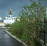 Многофункциональную зону для норильчан благоустроят у Городского озера - ИА Таймырский Телеграф