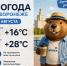 Воскресная погода хорошенько пропечет на солнышке жителей Воронежа - Bloknot-Voronezh.Ru