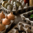 Не выбрасывайте бумажные лотки от яиц: 5 хитростей на август -  сэкономят время в саду и на кухне - Pg13.Ru