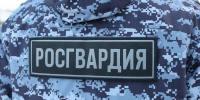 Находившаяся в федеральном розыске попалась на краже одежды в ТЦ Петербурга - Spbdnevnik.ru