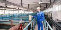 Фото информационного центра правительства Тюменской области, автор неизвестен - Tumentoday.Ru
