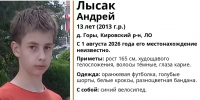 13-летнего мальчика с инвалидностью по слуху ищут в Ленобласти - tvspb.ru - ТК Санкт-Петербург