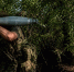 Группировка войск «Центр» занимает более выгодные рубежи - Донецк Медиа