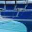 Француз Жеа обыграл Шаповалова в финале турнира ATP 250 в Лос-Кабосе - ИА Татар-информ