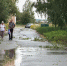 В Кирово-Чепецке отремонтировали светофор и убрали ветки на тротуаре - Prochepetsk.ru