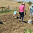 Время сбора урожая (видео) - Kerch.Com.Ru