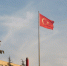Минсельхоз Турции сообщил о ликвидации последних лесных пожаров - ИА Общественная служба новостей