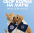 Матч «Оренбург»-«Зенит». Где смотреть? - Orenburg.Media