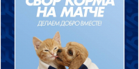 Матч «Оренбург»-«Зенит». Где смотреть? - Orenburg.Media