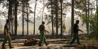 Фото: Андрей Понамарев/«Ямал-Медиа» - Ямал-Медиа