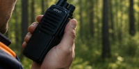 Иллюстрация сгенерирована ChatGPT - News29.Ru