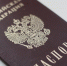 Новые правила для загранпаспортов: что изменилось для россиян - ИА Тульская пресса.Ru
