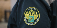 Санкт-Петербургская таможня фиксирует высокую нагрузку на МАПП Ивангород - Петербургский дневник