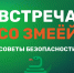 Осторожно, змея! Главные правила безопасности для отдыха на природе - МЧС Ставропольского края