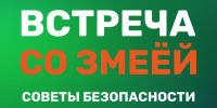 Осторожно, змея! Главные правила безопасности для отдыха на природе - МЧС Ставропольского края