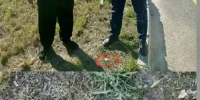 На трассе М-4 «Дон» пассажир автомобиля пытался избавиться от мефедрона на глазах полицейских - Газета Таганрогская правда