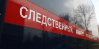 Бастрыкин поручил возбудить дело после избиения мальчика в Юганце - НИА Нижний Новгород