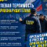 ЛДПР представила основные принципы миграционной политики - ЛДПР