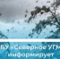 Метепредупреждение. - Холмогорский муниципальный округ