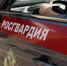 Московские росгвардейцы пришли на помощь семье, у которой сломался автомобиль на проезжей части (Видео) - Росгвардия