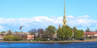На экскурсию о Ленинградской битве приглашают жителей и гостей Северной столицы - Spbdnevnik.ru