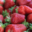Strawberries_photographed_at_a_framers'_marketplace_in_Serbia - ИА Общественная служба новостей