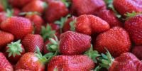 Strawberries_photographed_at_a_framers'_marketplace_in_Serbia - ИА Общественная служба новостей