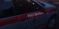 В Петербурге двое украли канистру, чтобы поджечь бар, но ничего не вышло: дизель не загорелся - tvspb.ru - ТК Санкт-Петербург