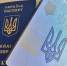Экс-капеллан ВСУ Максим Николаюк: на западе Украины ждут Россию - ИА Общественная служба новостей