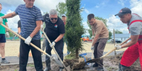 Глава Верхнеуслонского района и местные жители высадили 20 елей - Волжская новь