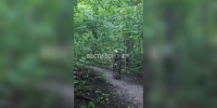 «Боимся гулять». Воронежцы забили тревогу из-за агрессивной собаки в Центральном парке - ГТРК Воронеж