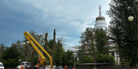 Вековые тополя спилили у главного корпуса Ижевского оружейного завода - Сусанин
