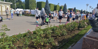 Кировчанам пообещали последнюю летнюю жару - Город Киров