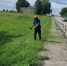 На улицах Белгородского муниципального округа продолжается масштабная кампания по благоустройству. - Администрация Белгородского района