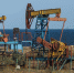 Страны ОПЕК+, включая Россию, повысили квоты на добычу нефти - 47 новостей